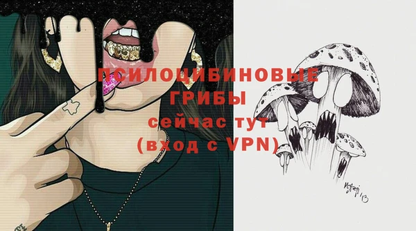 соль курить ск Гусиноозёрск